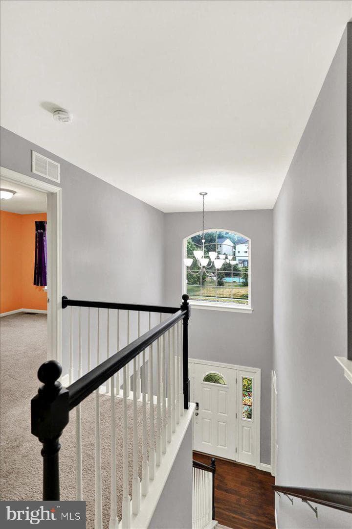 181 Scotland Drive photo 19