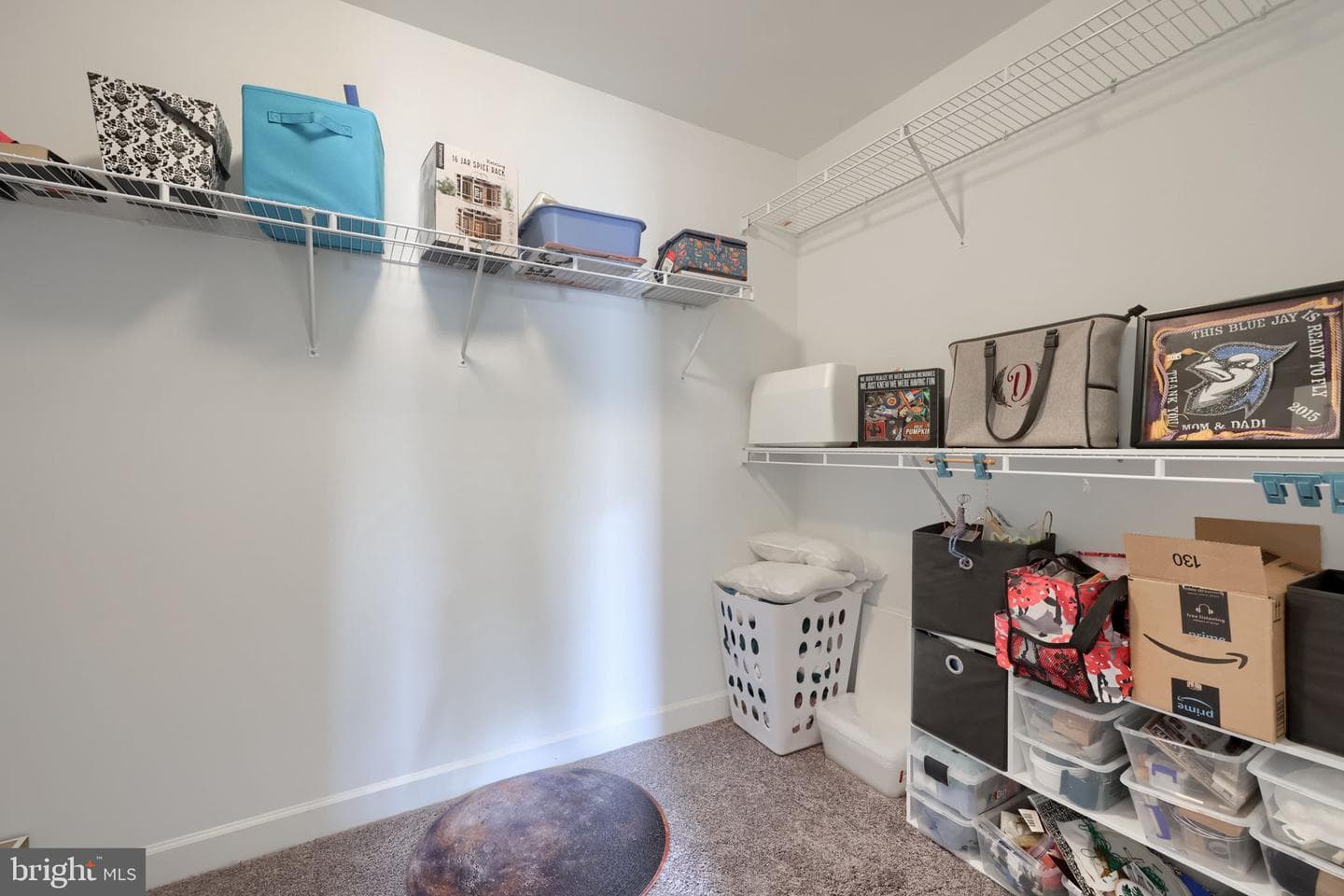 10 Merganser Drive photo 50