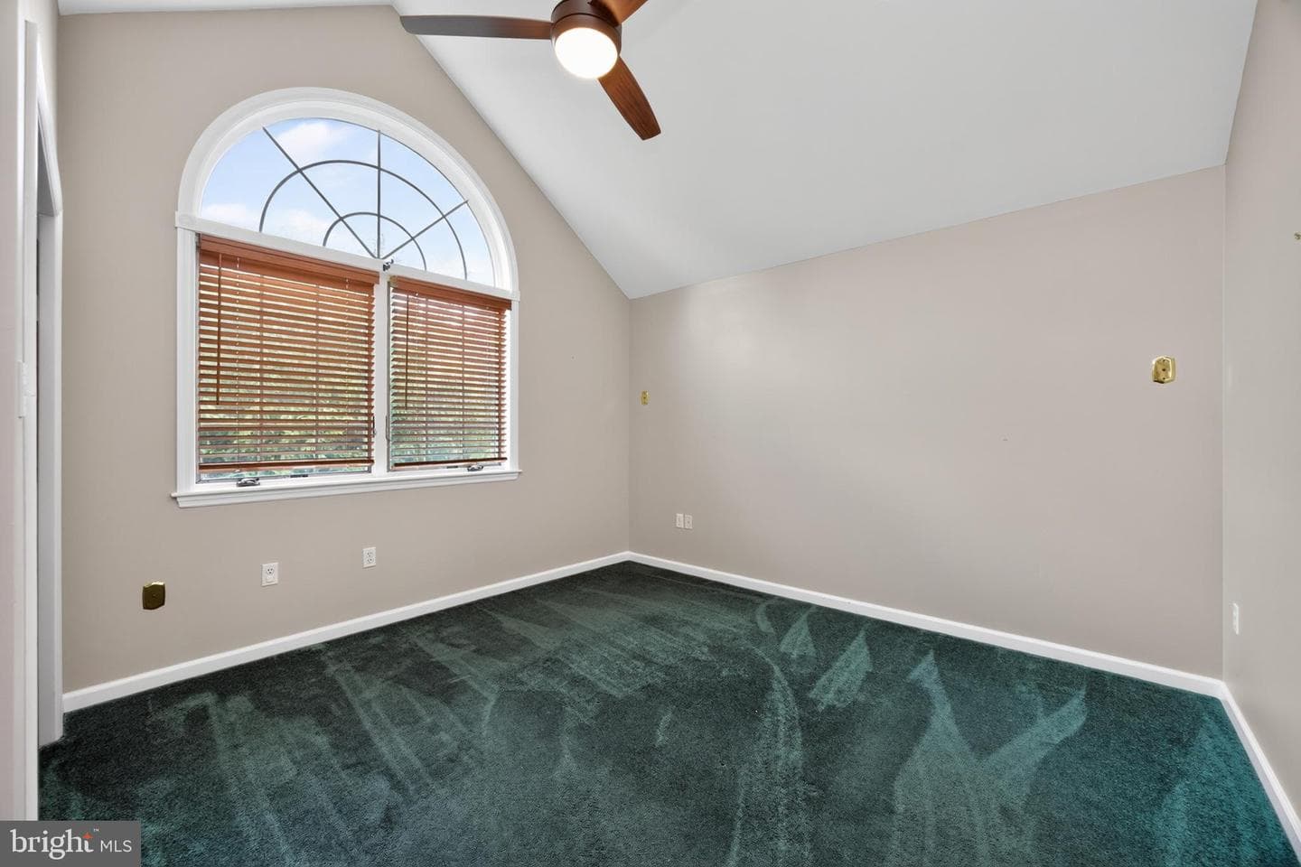 24 Lehmann Drive photo 41
