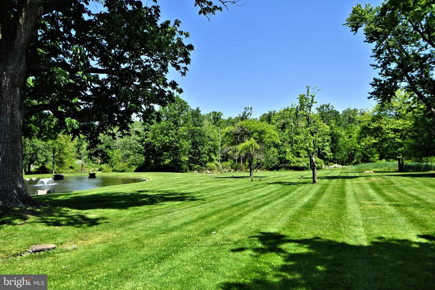 220 Stoopville Road photo 113