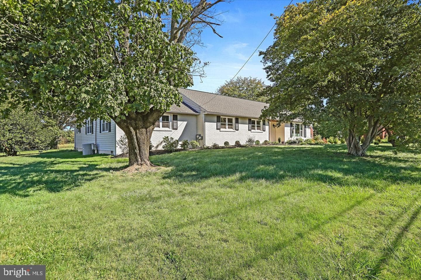 291 Elephant Road photo 3