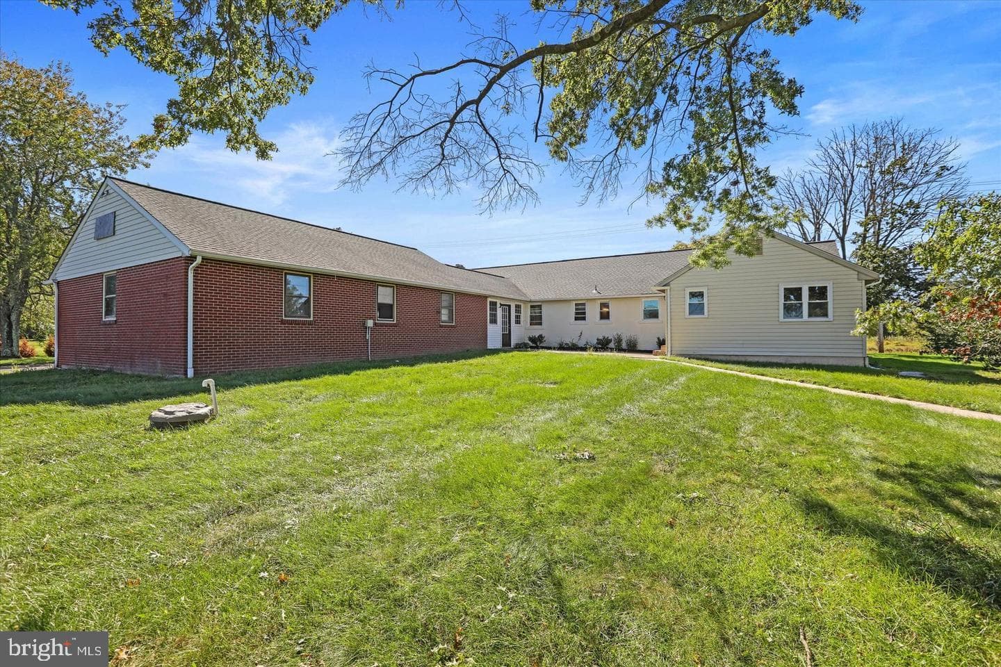 291 Elephant Road photo 5