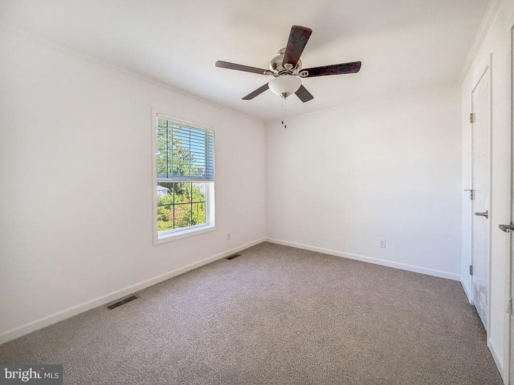 62 Harrison Drive photo 21