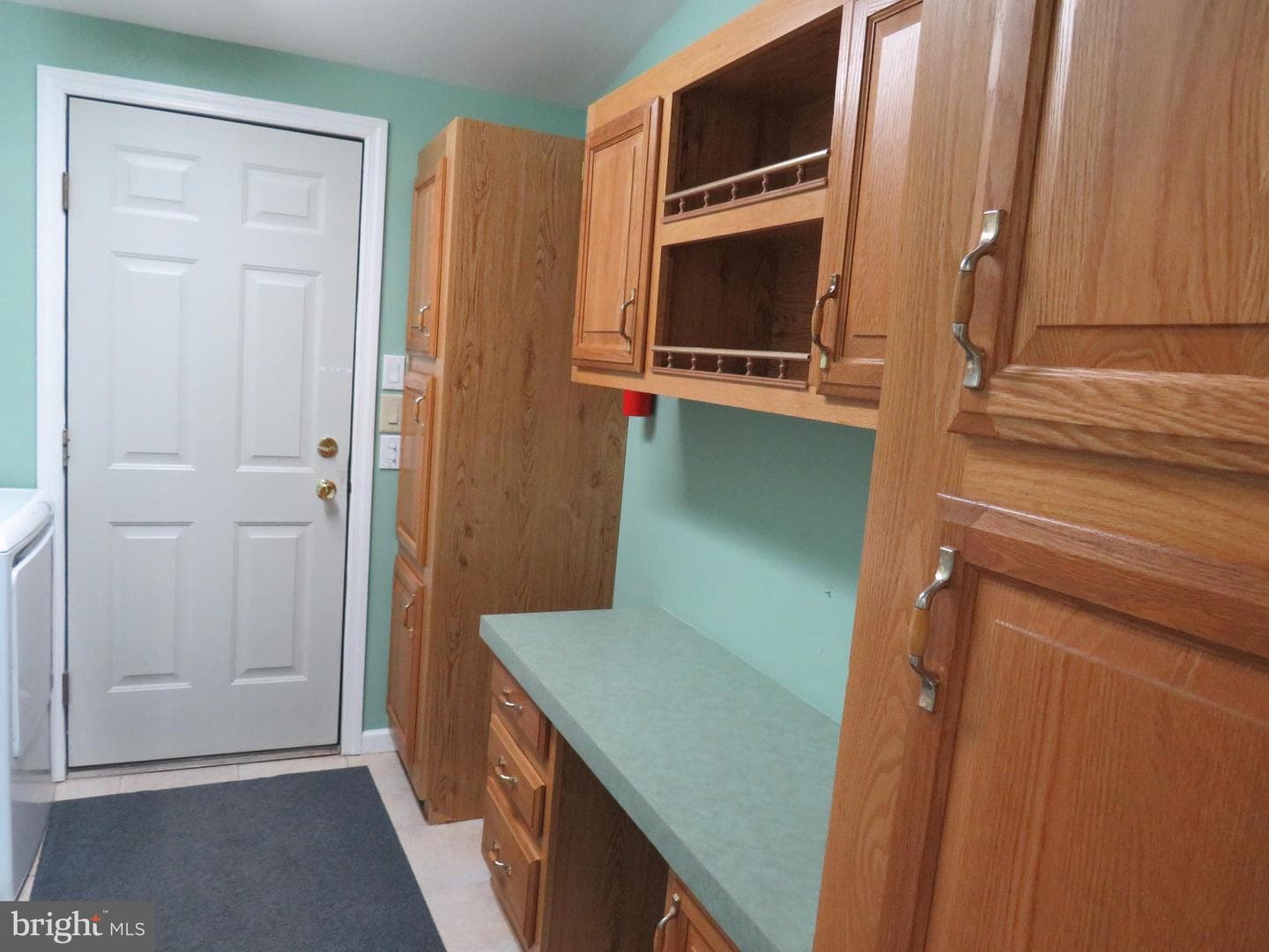 377 Spring Meadow Circle photo 22
