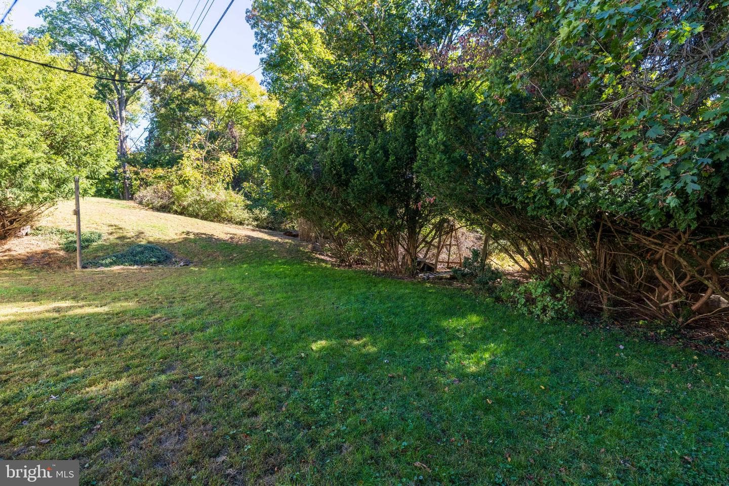 60 Cedar Drive photo 24