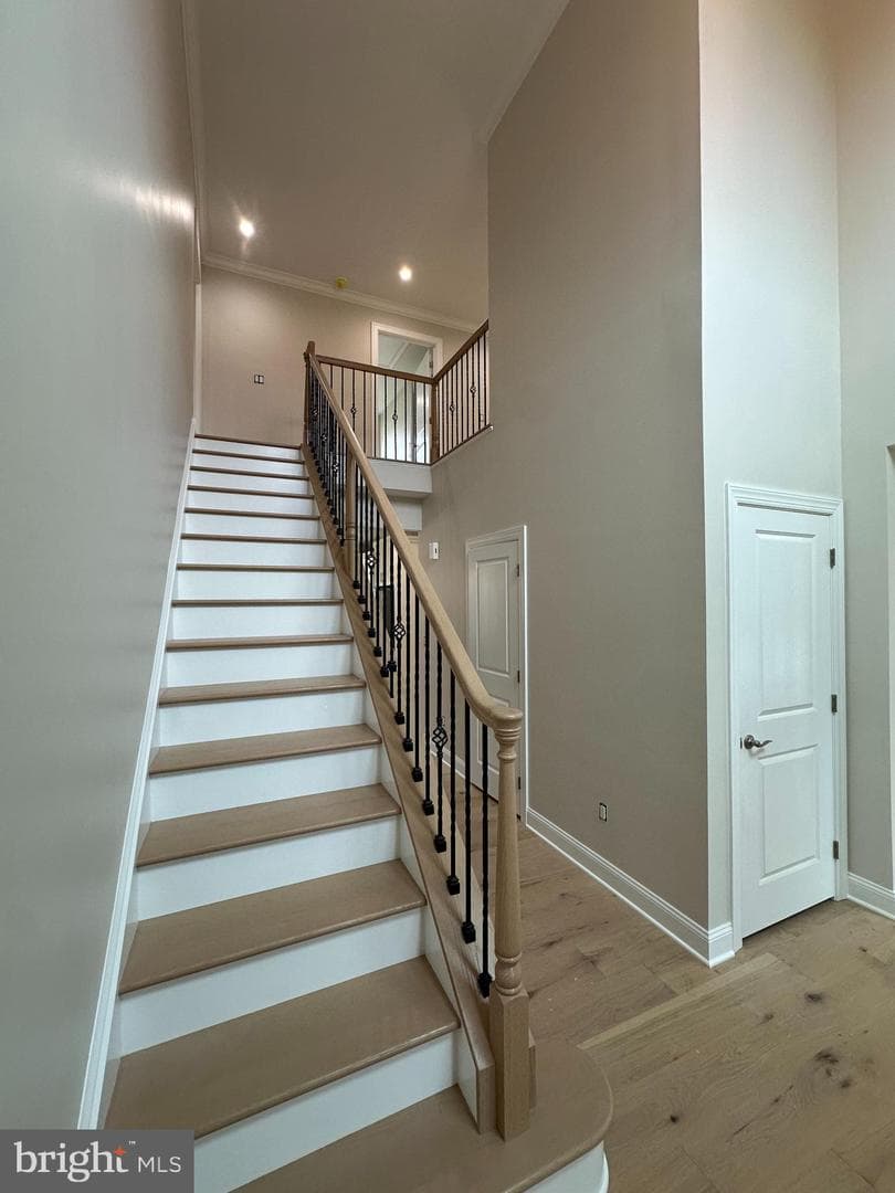 43 Davisville Road photo 23
