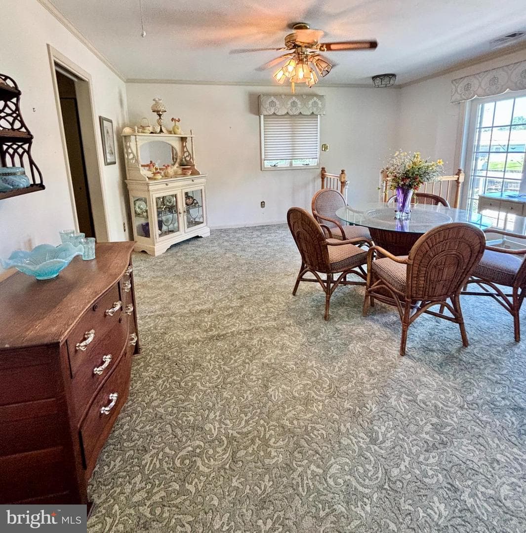 313 Trenton Road photo 13