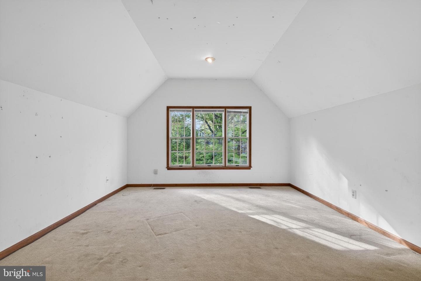 3707 Morrison Way photo 21