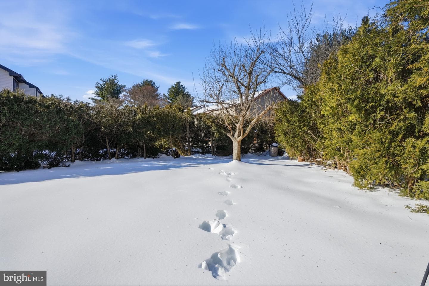 710 Trowbridge Drive photo 24