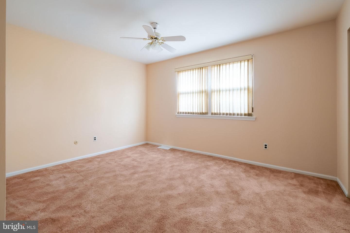 64 Springwood Drive photo 31