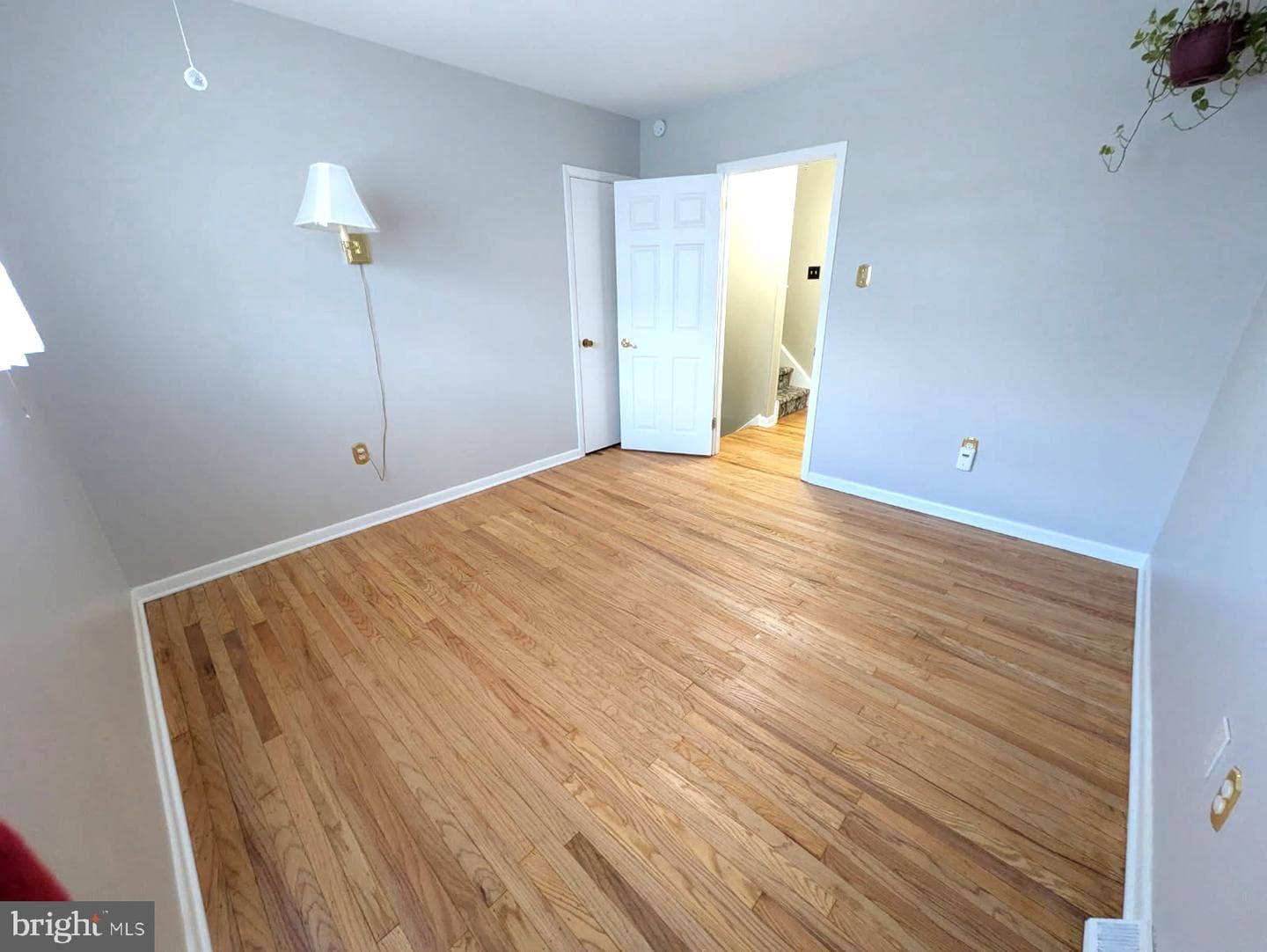 786 Boxwood Drive photo 24
