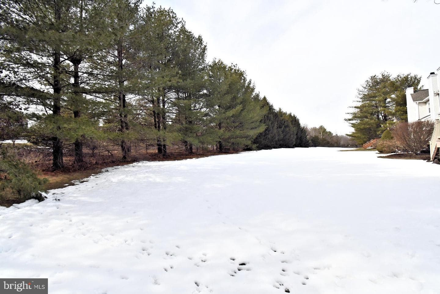 104 Dispatch Drive photo 14