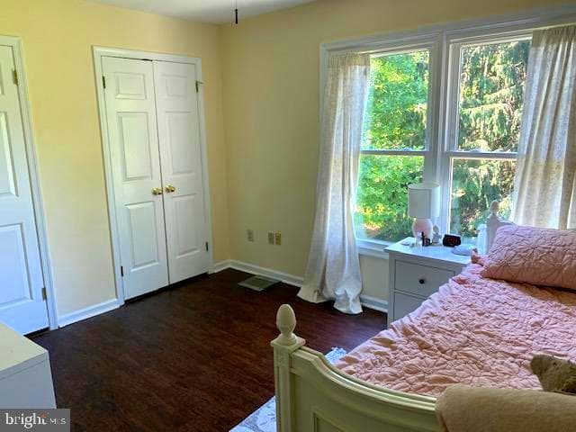 17 Randolph Court photo 18
