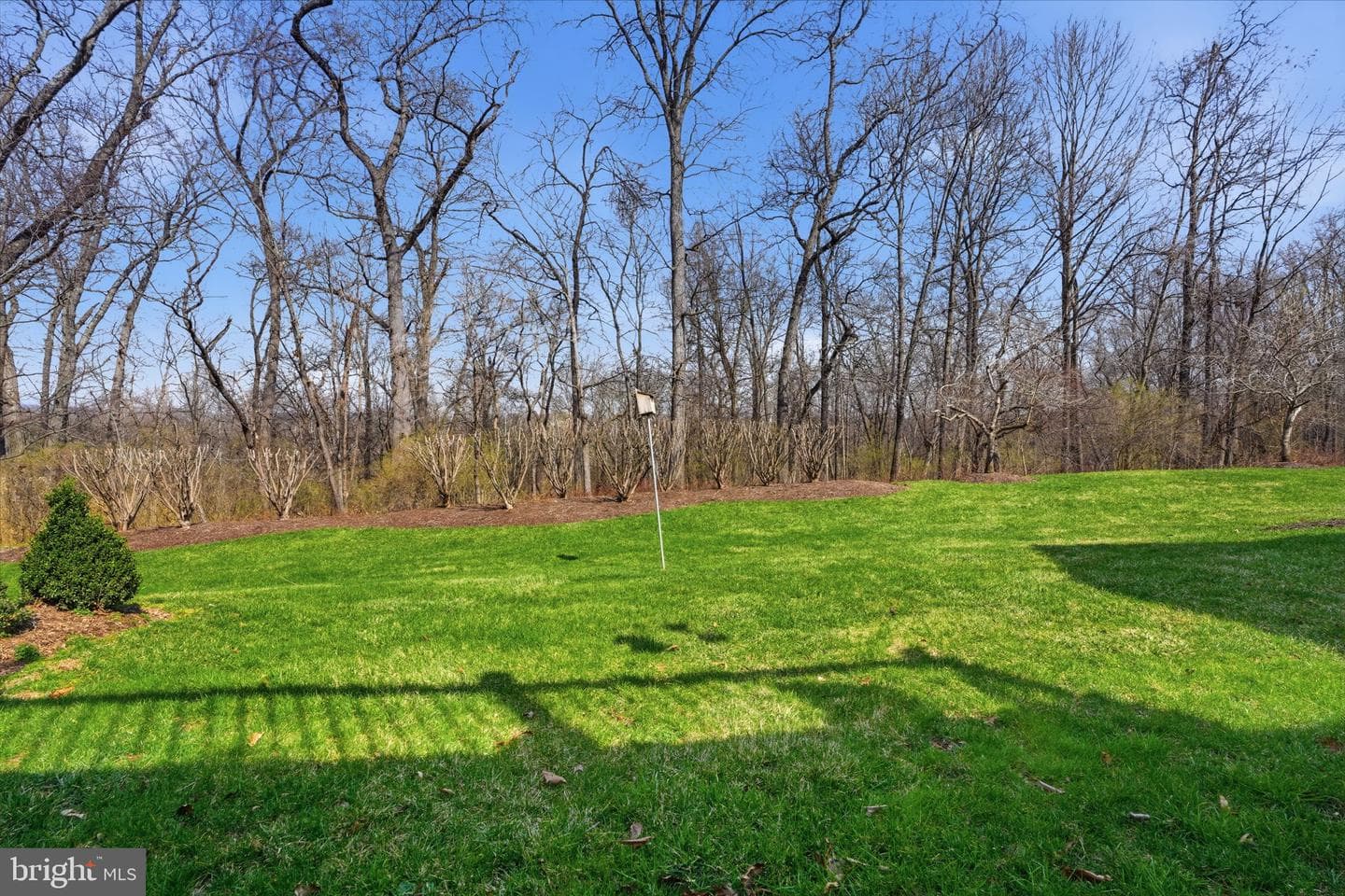 104 Mcconkey Drive photo 38