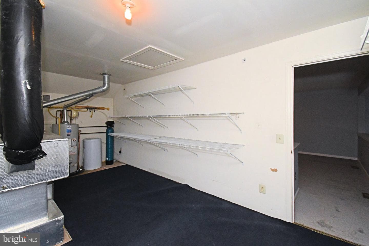 215 Dorchester Drive photo 52