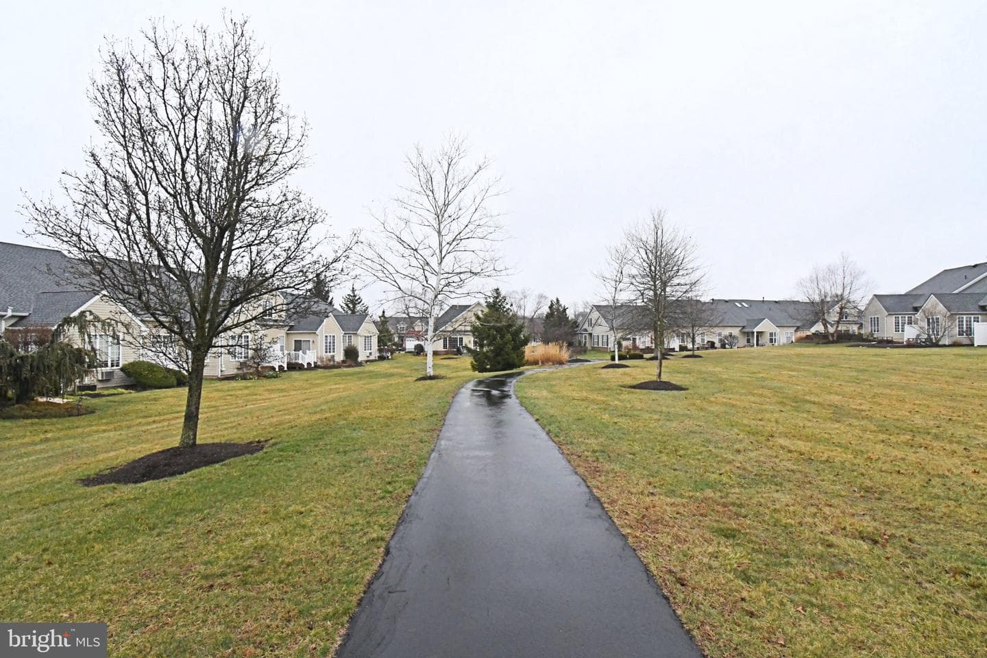 215 Dorchester Drive photo 61
