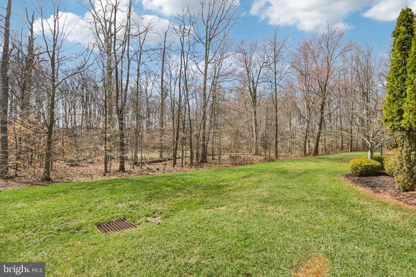 183 Fillmore Way photo 61