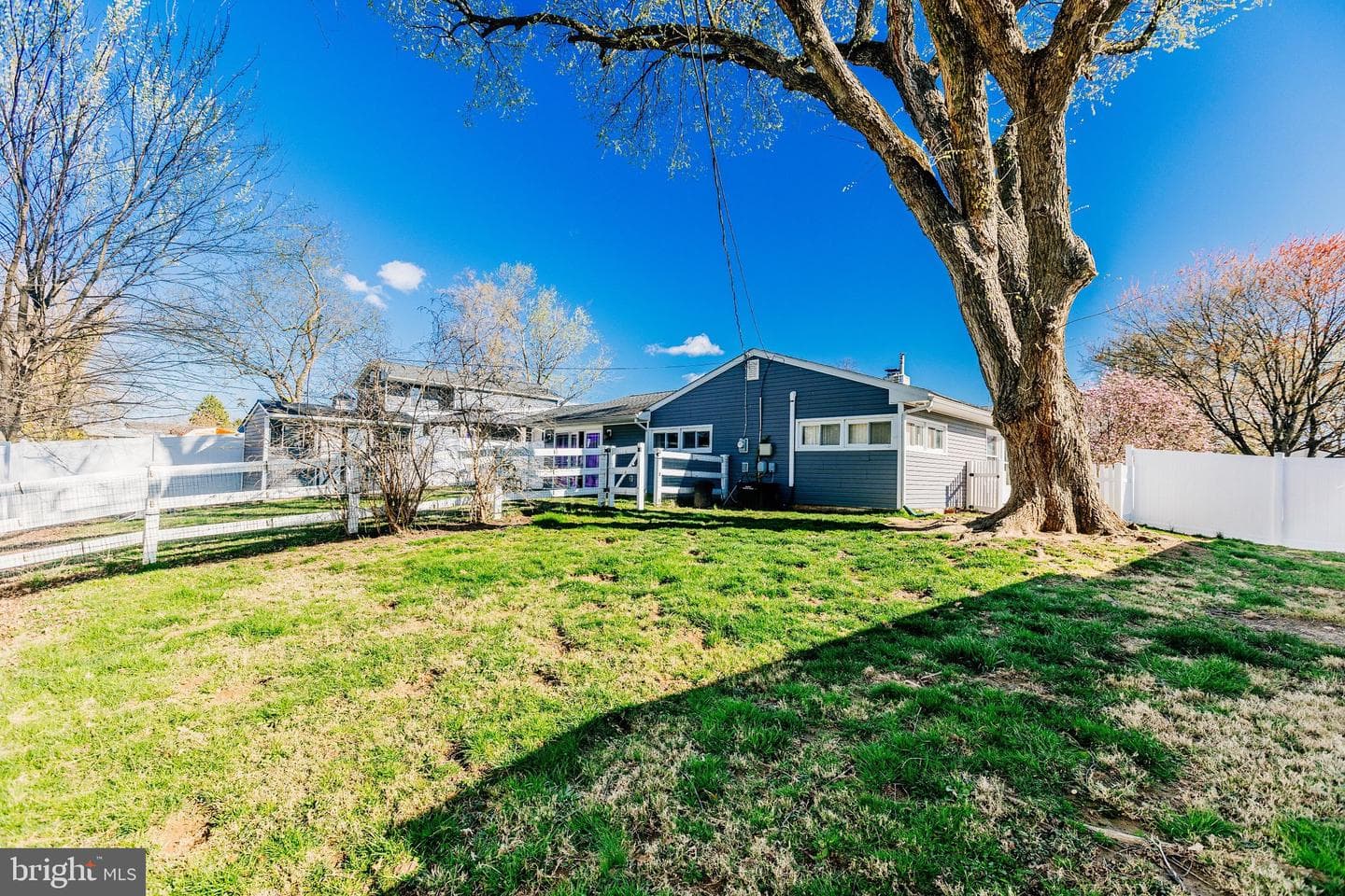 35 Mimosa Lane photo 36