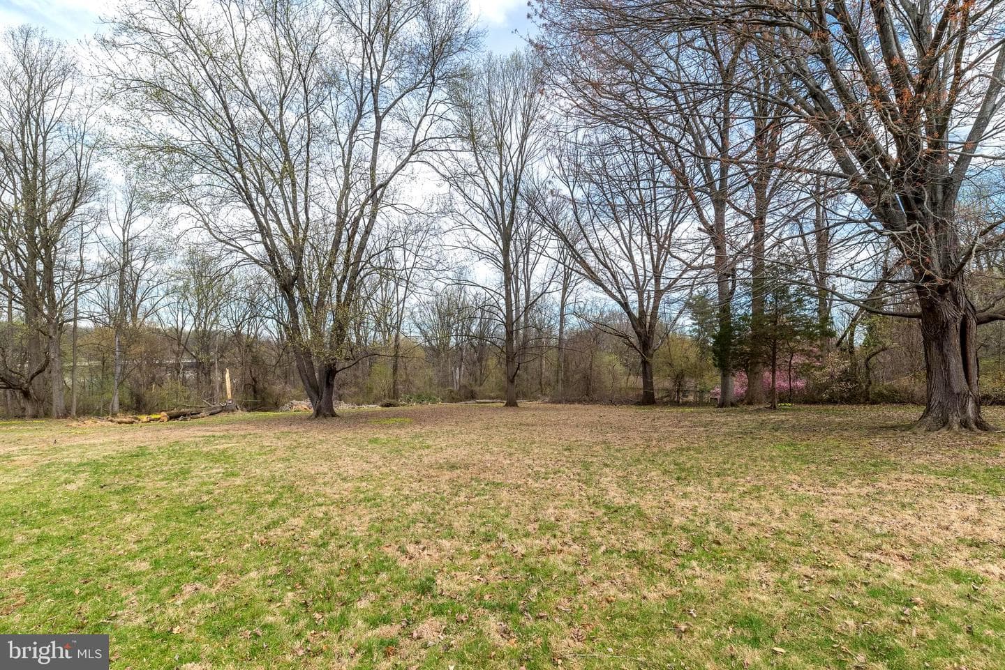 4824 Grandview Avenue photo 11