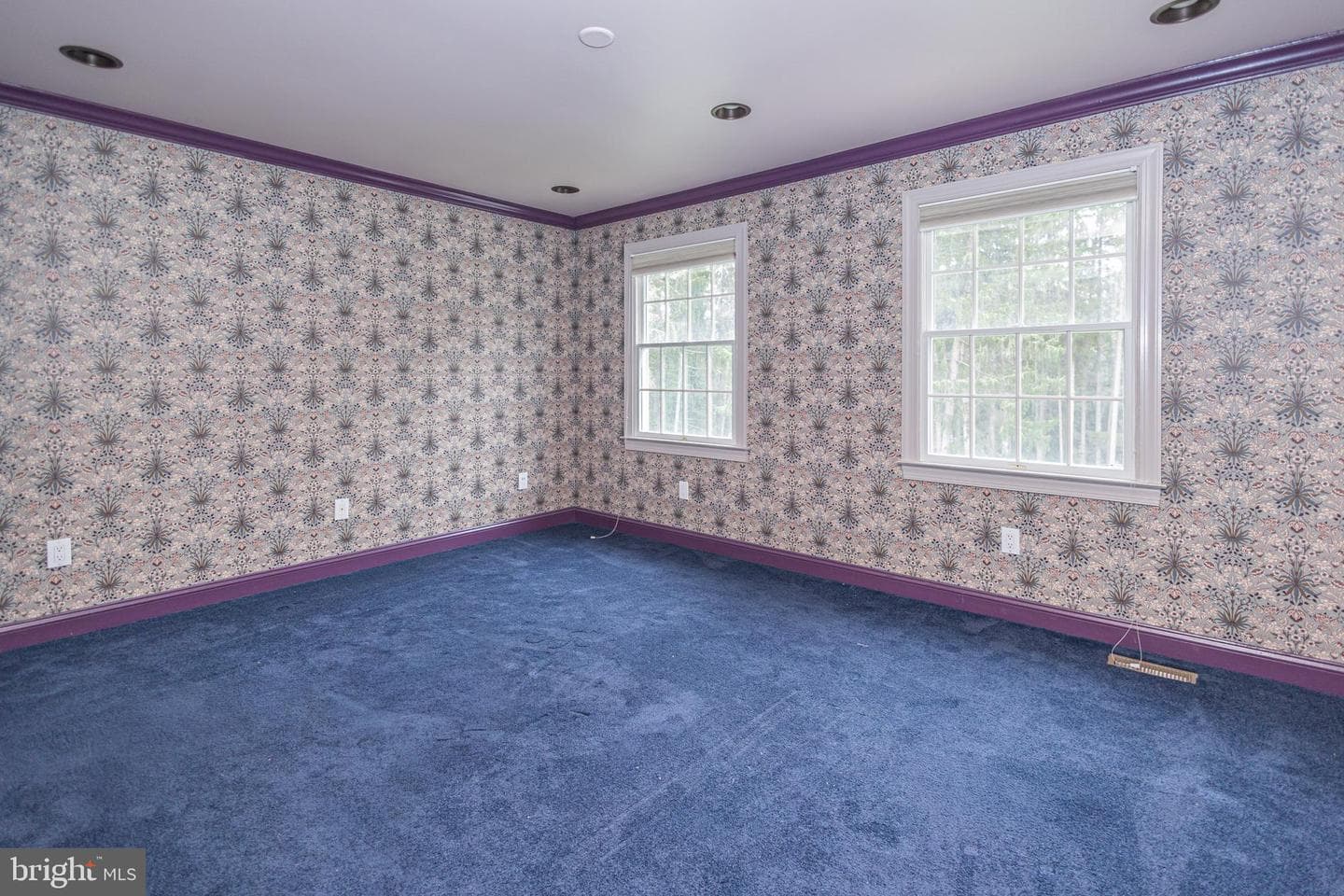 21 Bellinghamshire Place photo 65