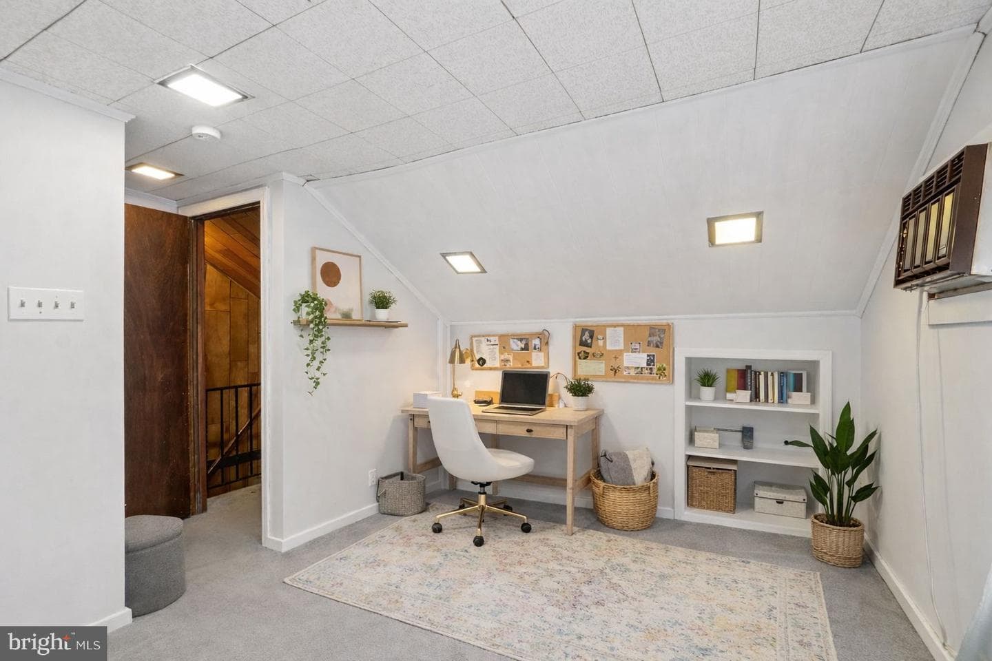 517 Crown Street photo 30