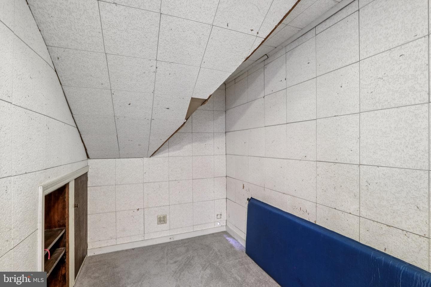 517 Crown Street photo 31