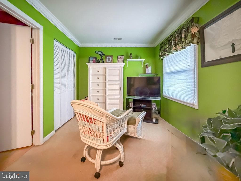 55 Teaberry Lane photo 19