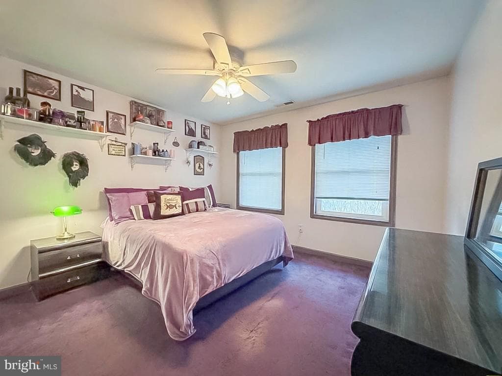 55 Teaberry Lane photo 21
