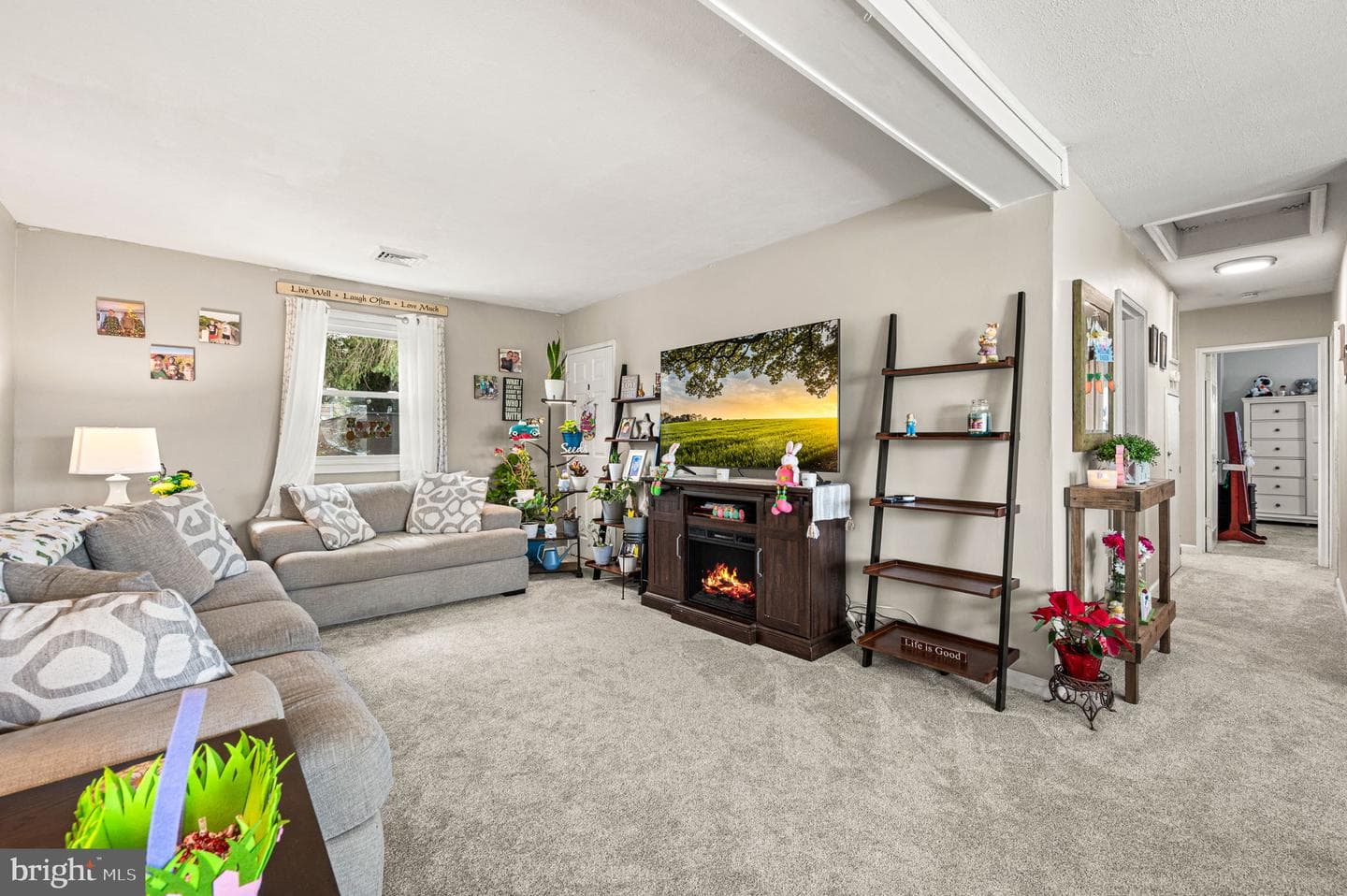 1303 Lacebark Street photo 10
