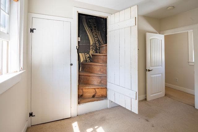 6 Letchworth Avenue photo 20