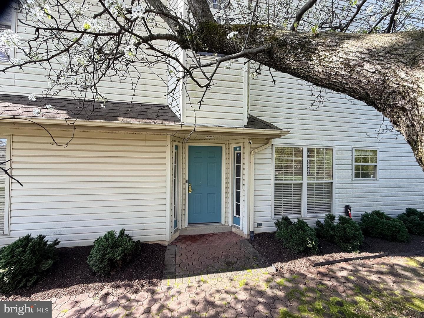 320 Wyndale Drive photo 49