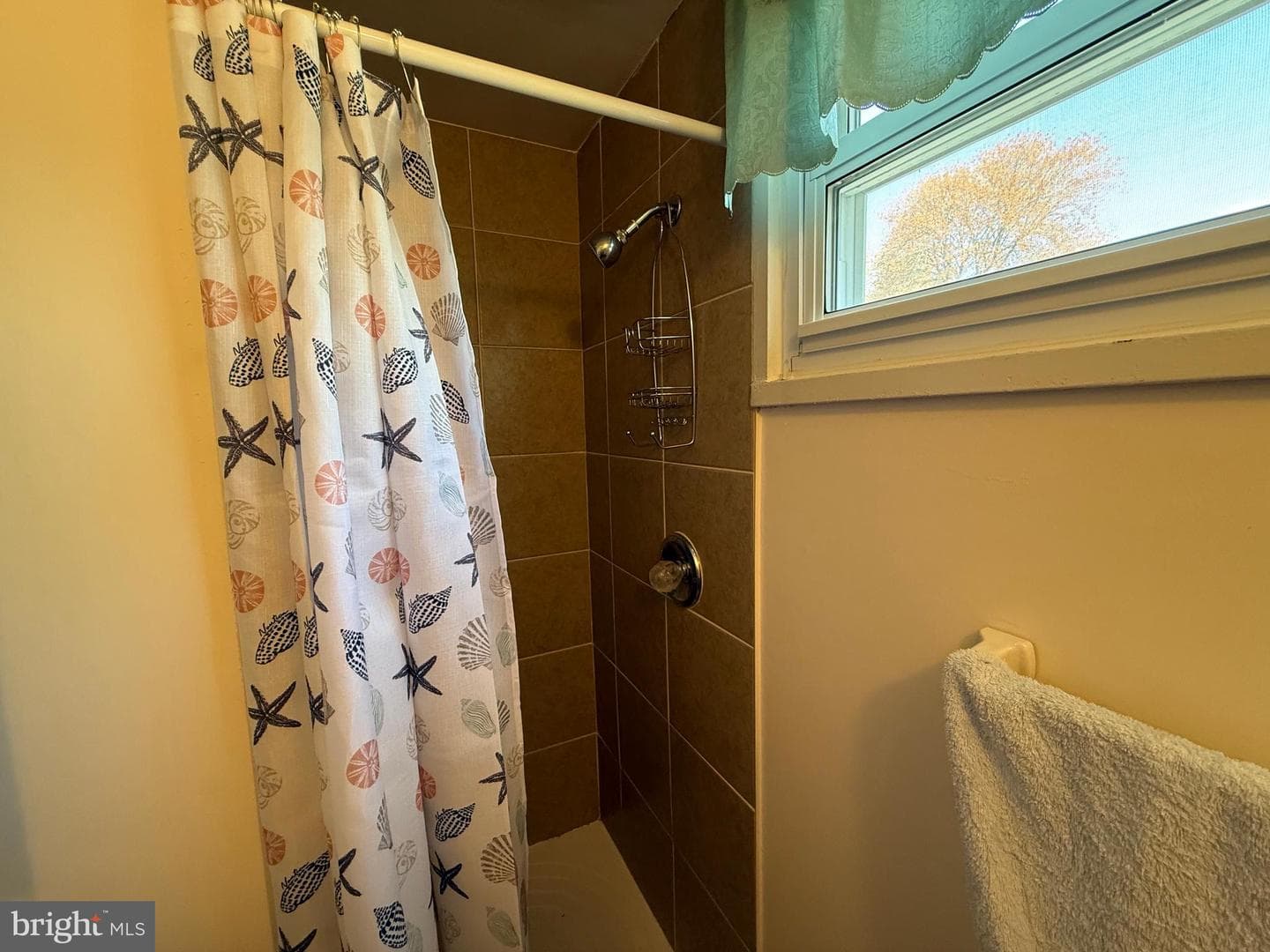 583 Arbor Road photo 26