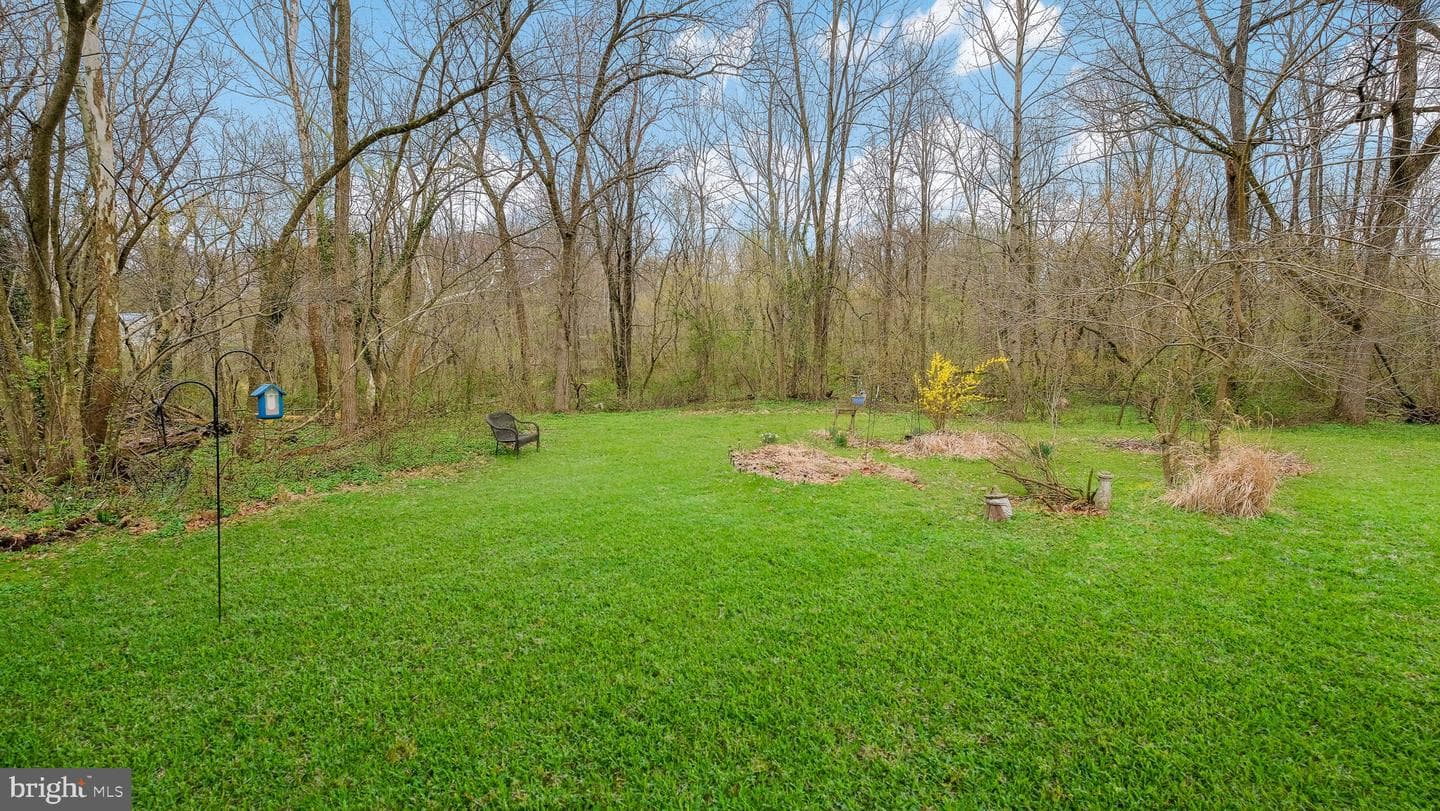 224 Beech Street photo 23