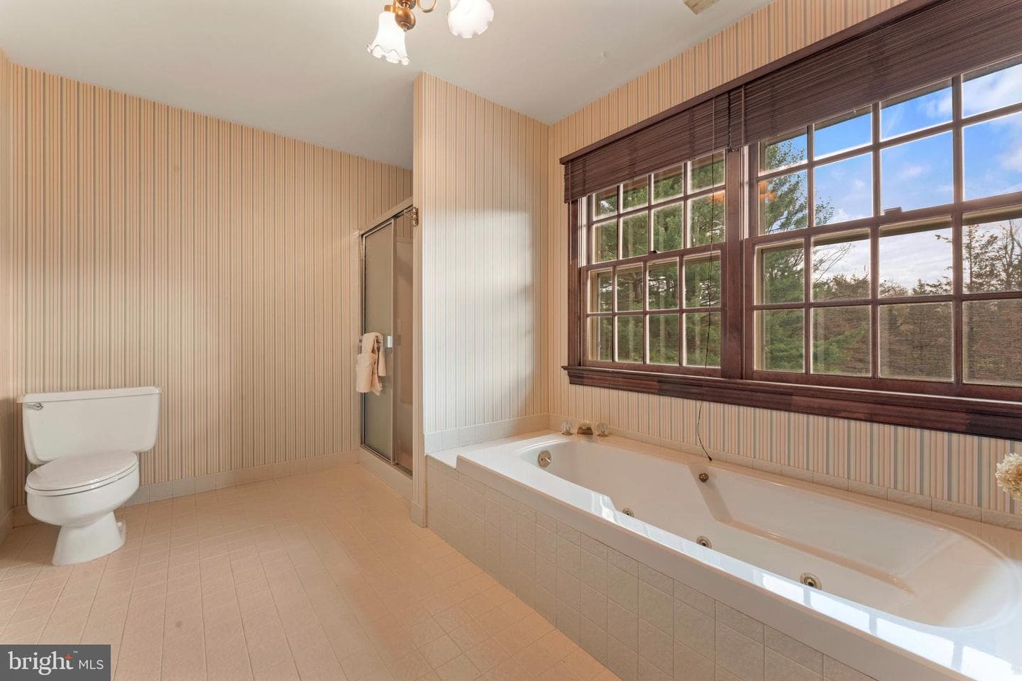 111 Cedar Glen Drive photo 37