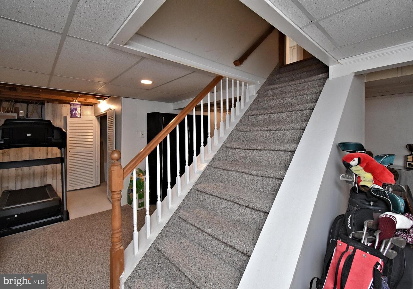 235 Argyle Road photo 45