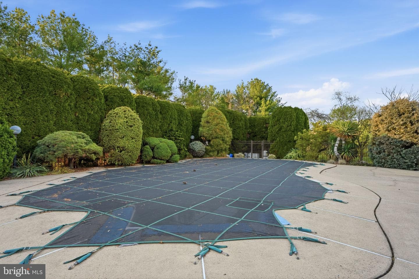 7 Candace Court photo 11