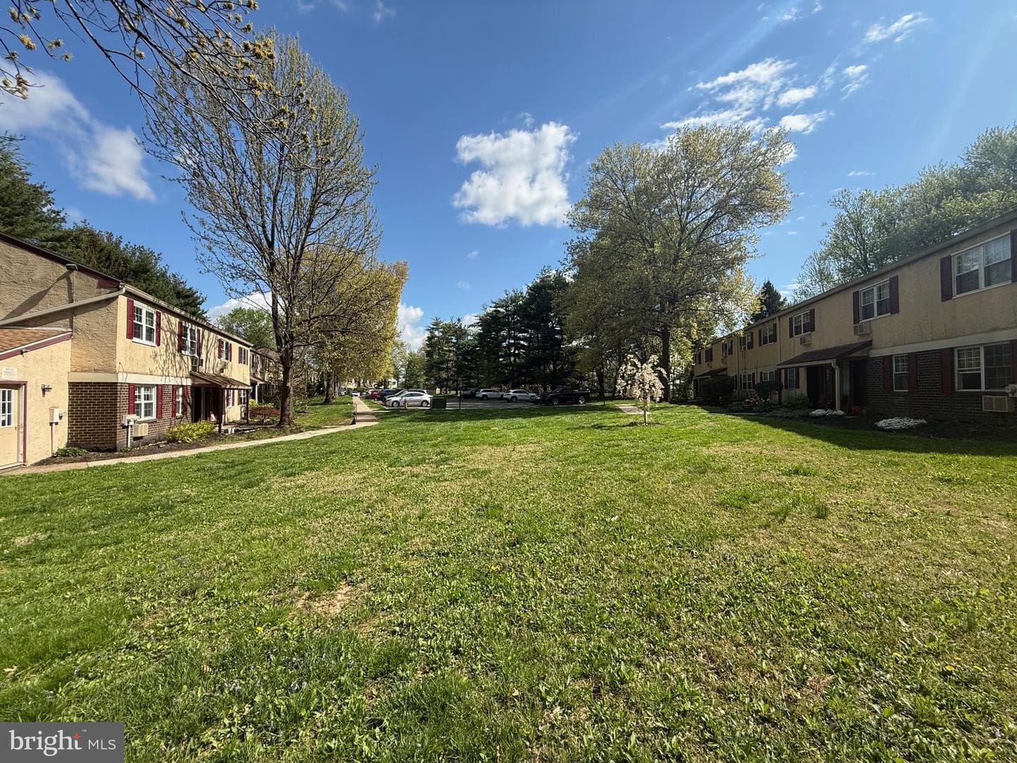 178 Elephant Road #b11 photo 19