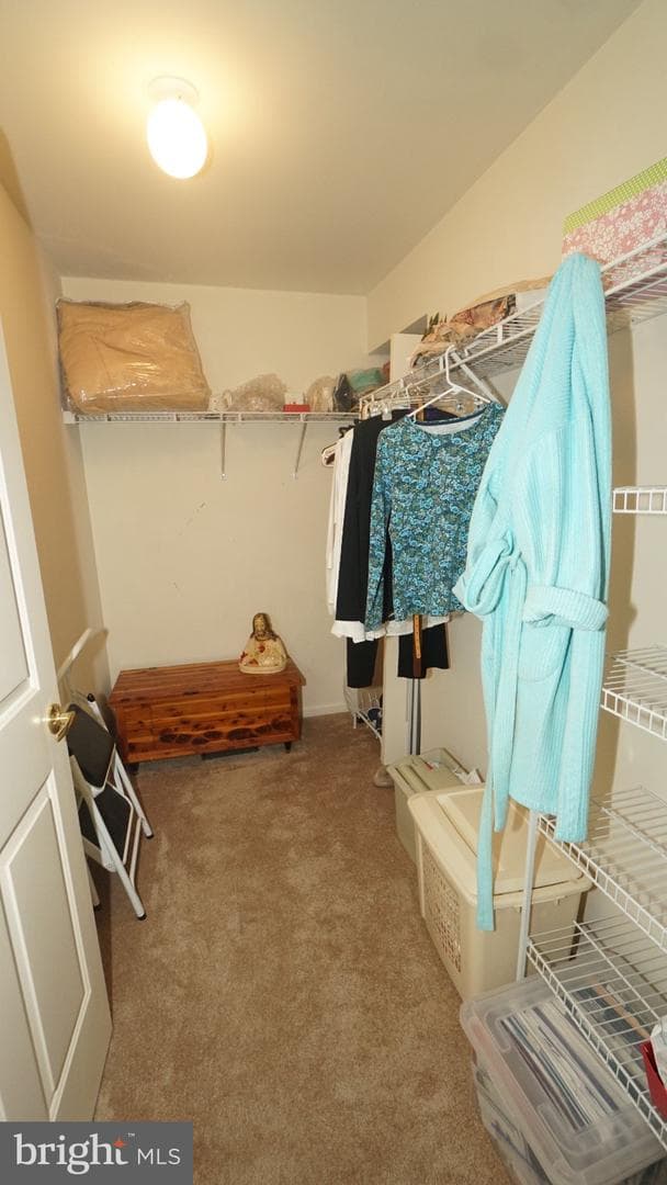 1662 Gibson Road photo 16