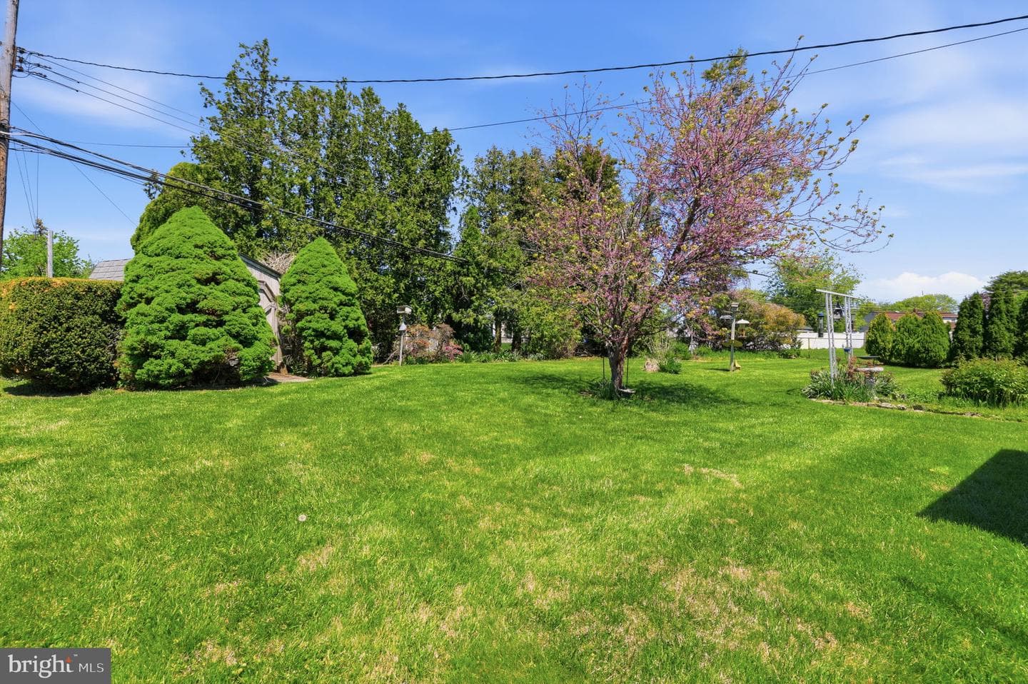903 Pine Road photo 19