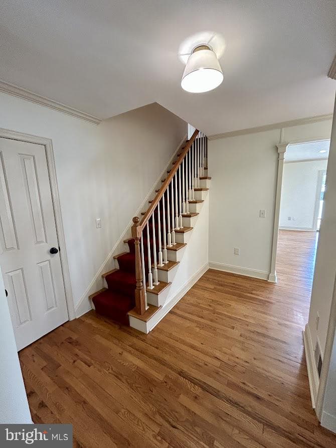 212 Apple Street photo 16