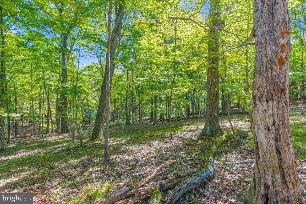 21 Goldney Dr photo 52