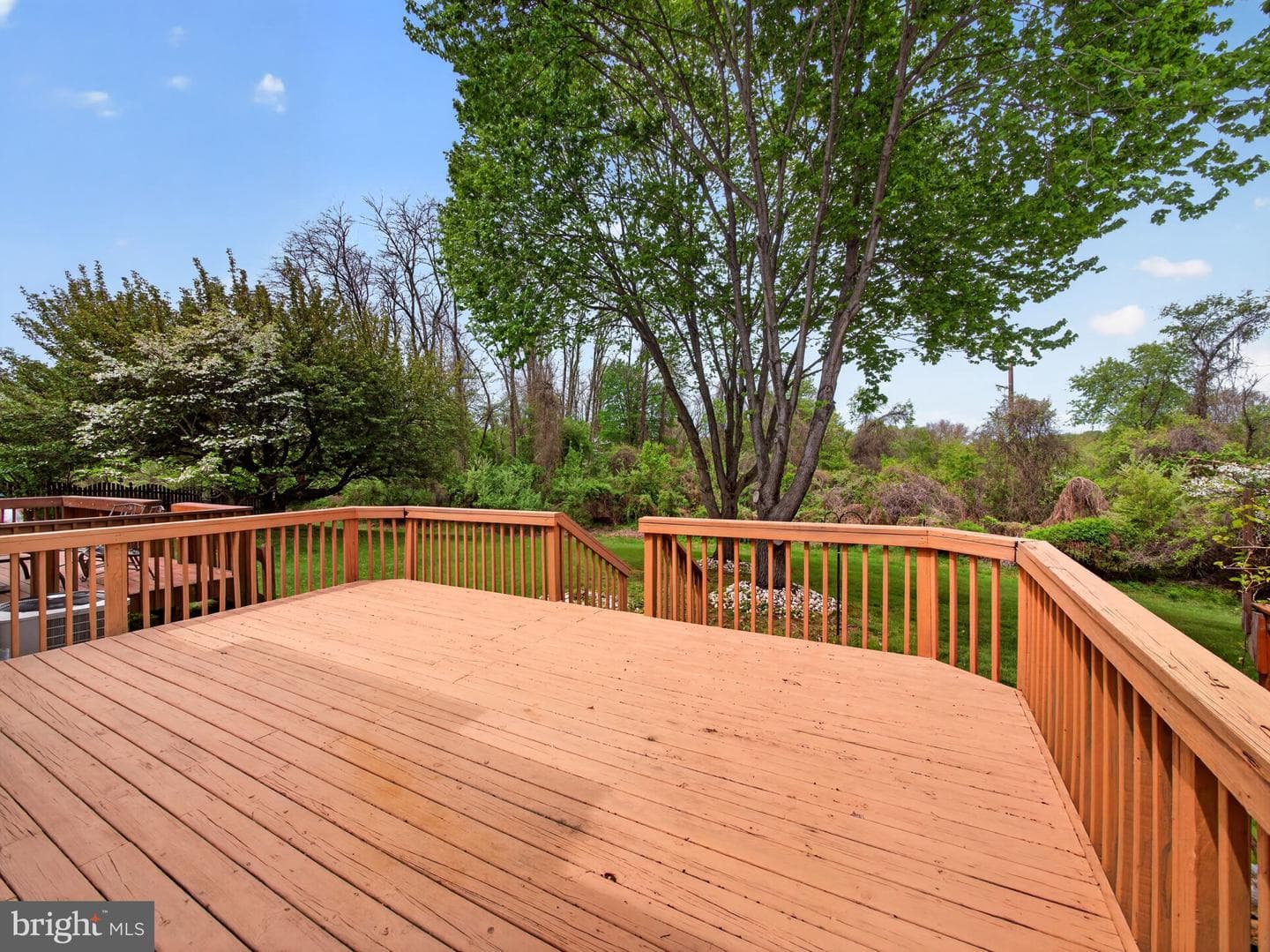 333 Basswood Circle photo 10