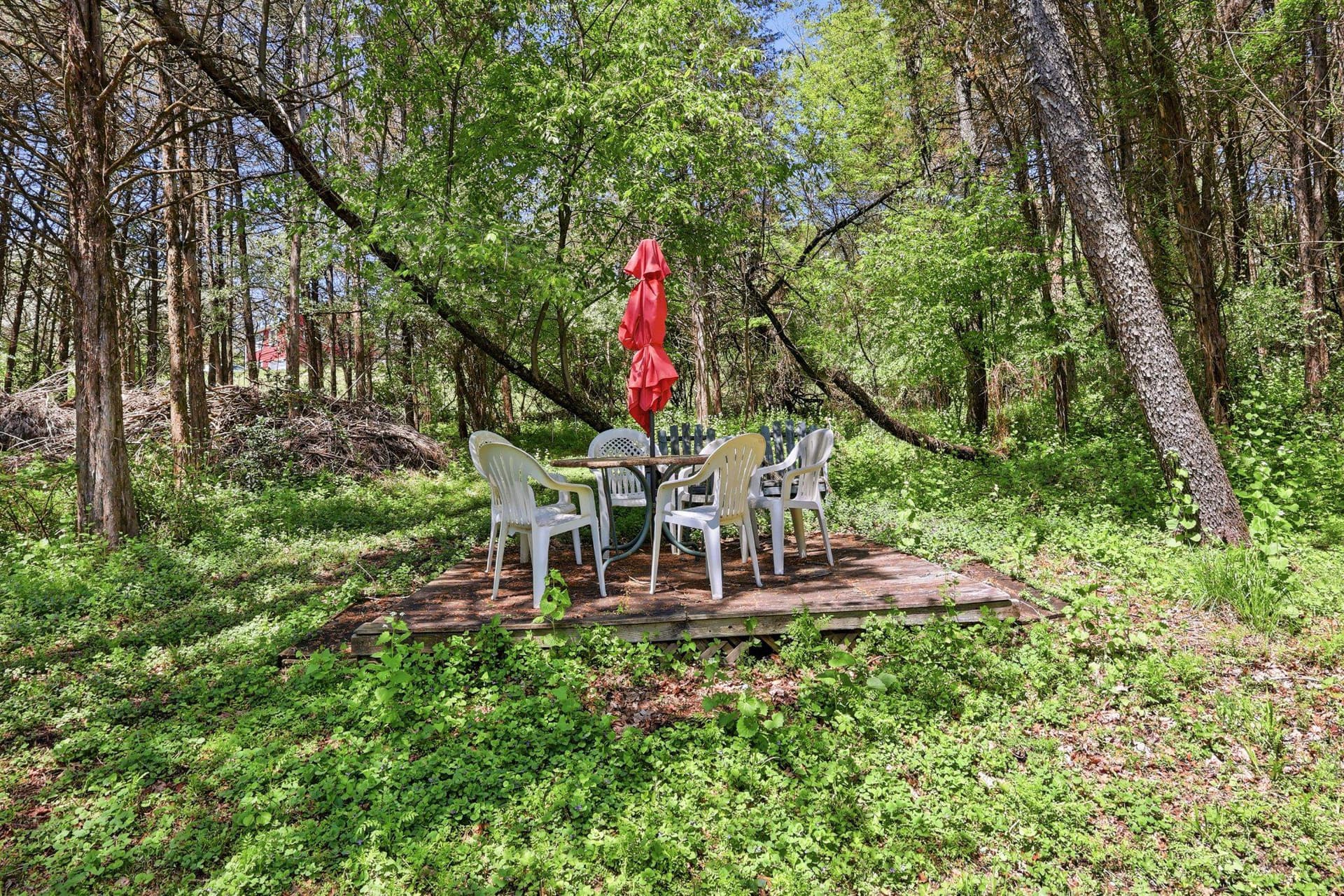 34 Hollow Horn Road photo 43
