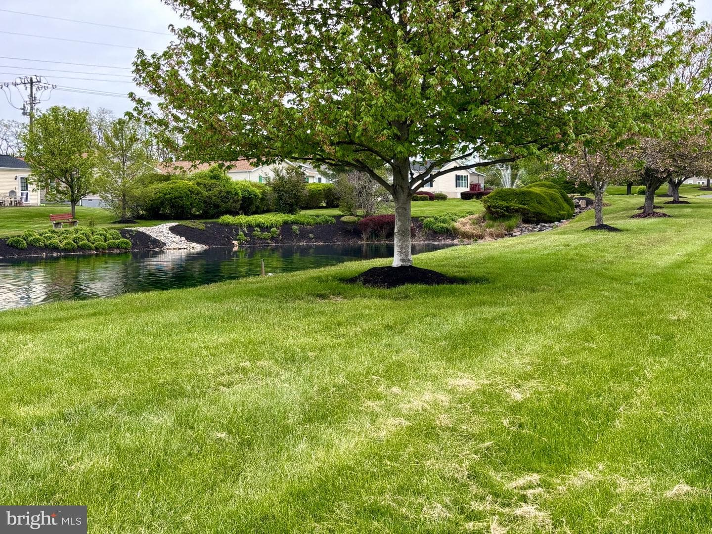 399 Spring Meadow Cir photo 36
