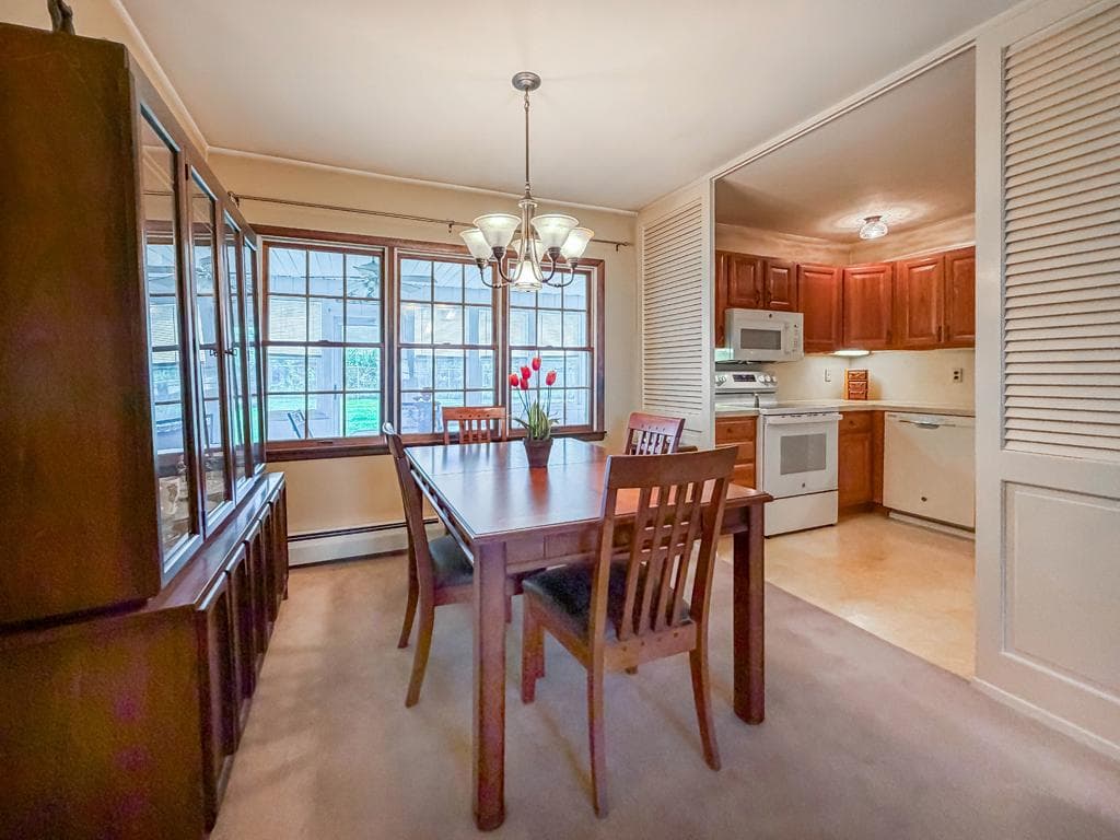 44 Cotton Road photo 8