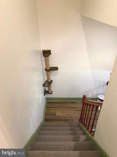 425 Brandywine Court photo 18