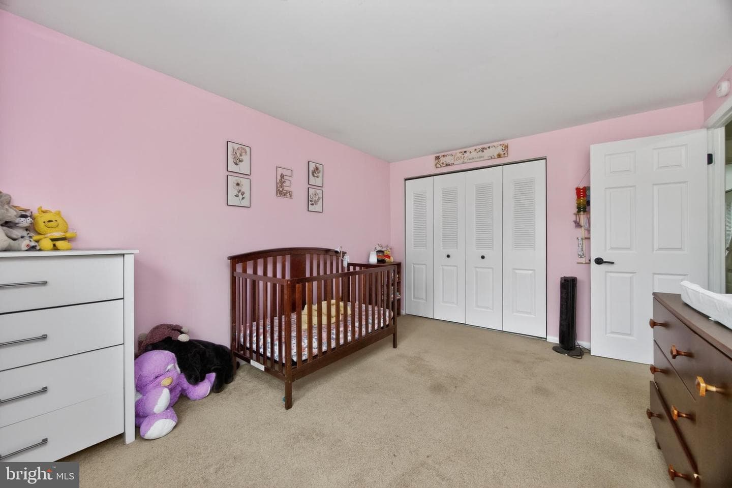 8 Elwood Court photo 20