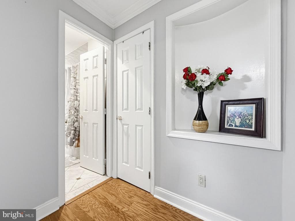 254 Allen Lane photo 32