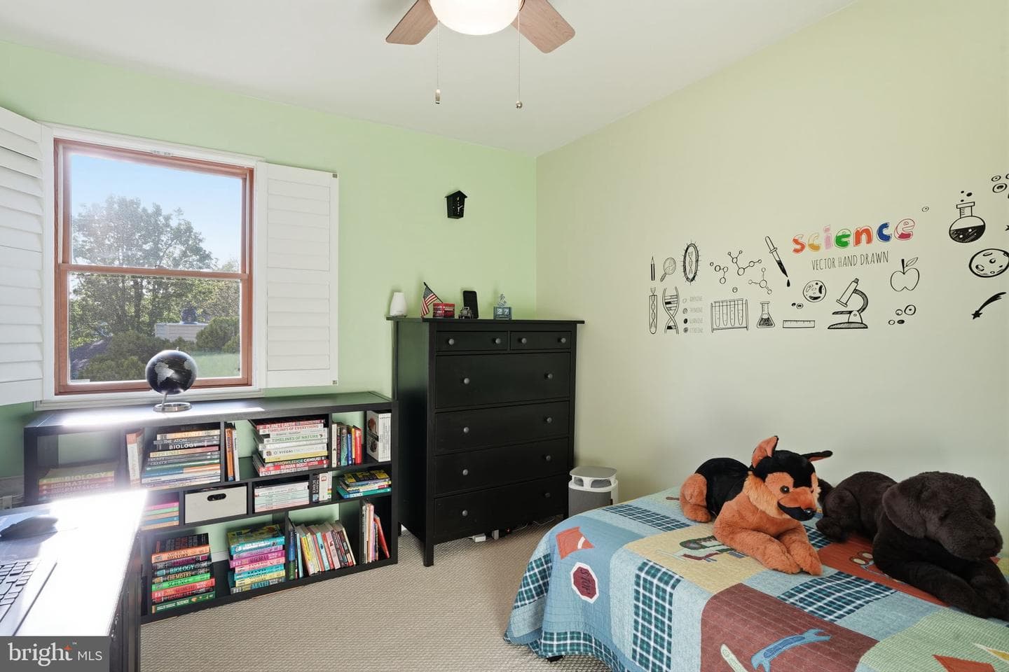 5 Chestnut Drive photo 31