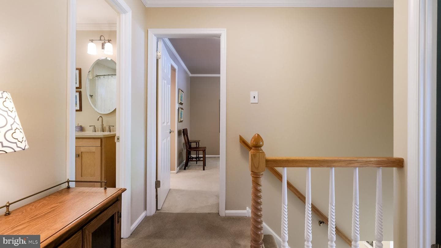 74 Basil Road photo 19